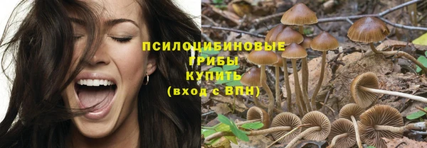 мяу мяу мука Алексеевка