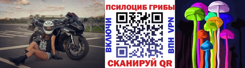 Псилоцибиновые грибы мицелий  Николаевск 